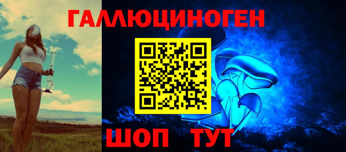 Галлюциногенные грибы Psilocybine cubensis  Псилоцибиновые грибы Psilocybine cubensis  Корсаков  Вход с VPN 
